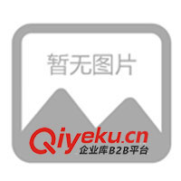 供應(yīng)冷光線 發(fā)光線 圣誕裝飾燈 節(jié)慶燈飾 鬼節(jié)飾品